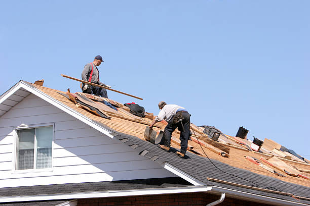 Best Skylights  in Fairmont, WV